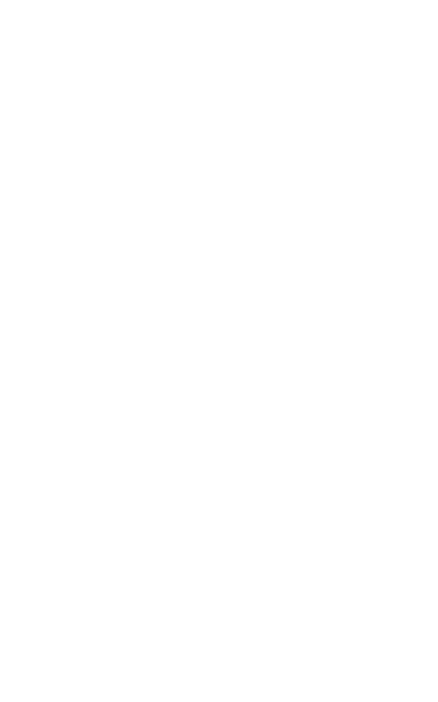 ENVISION Logo